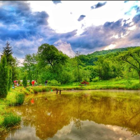 Pensiunea Cerbul - Valea Dobarlaului Buitenkant foto