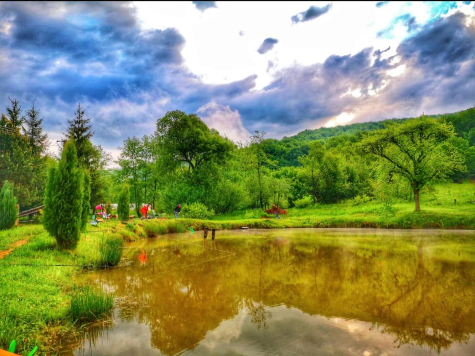 Pensiunea Cerbul - Valea Dobarlaului Buitenkant foto