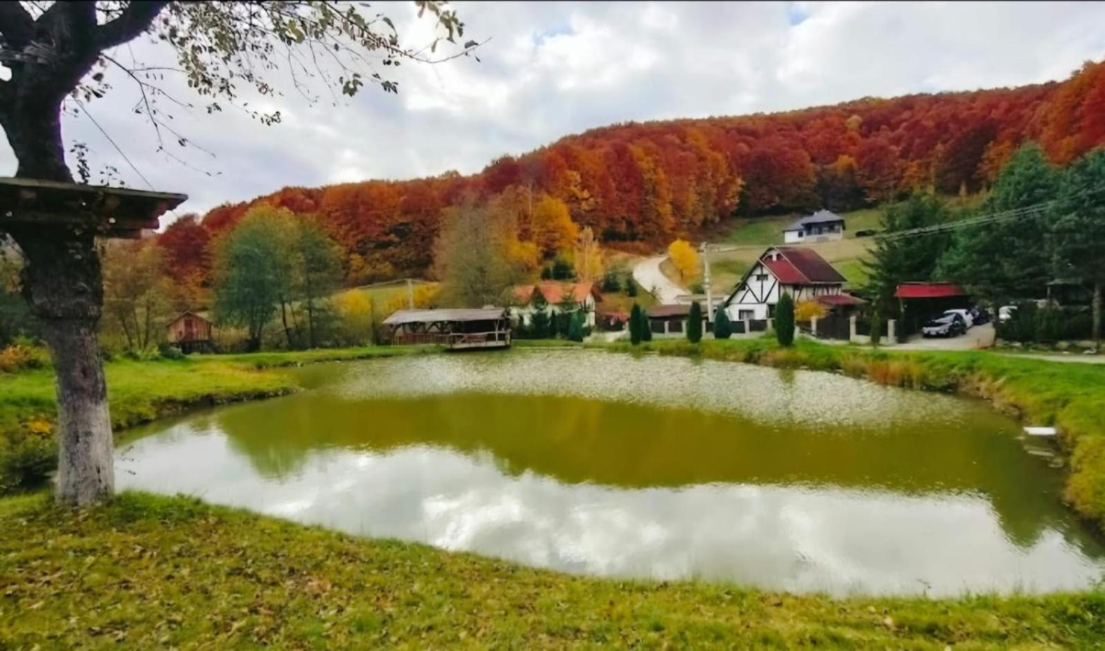 Pensiunea Cerbul - Valea Dobarlaului Buitenkant foto