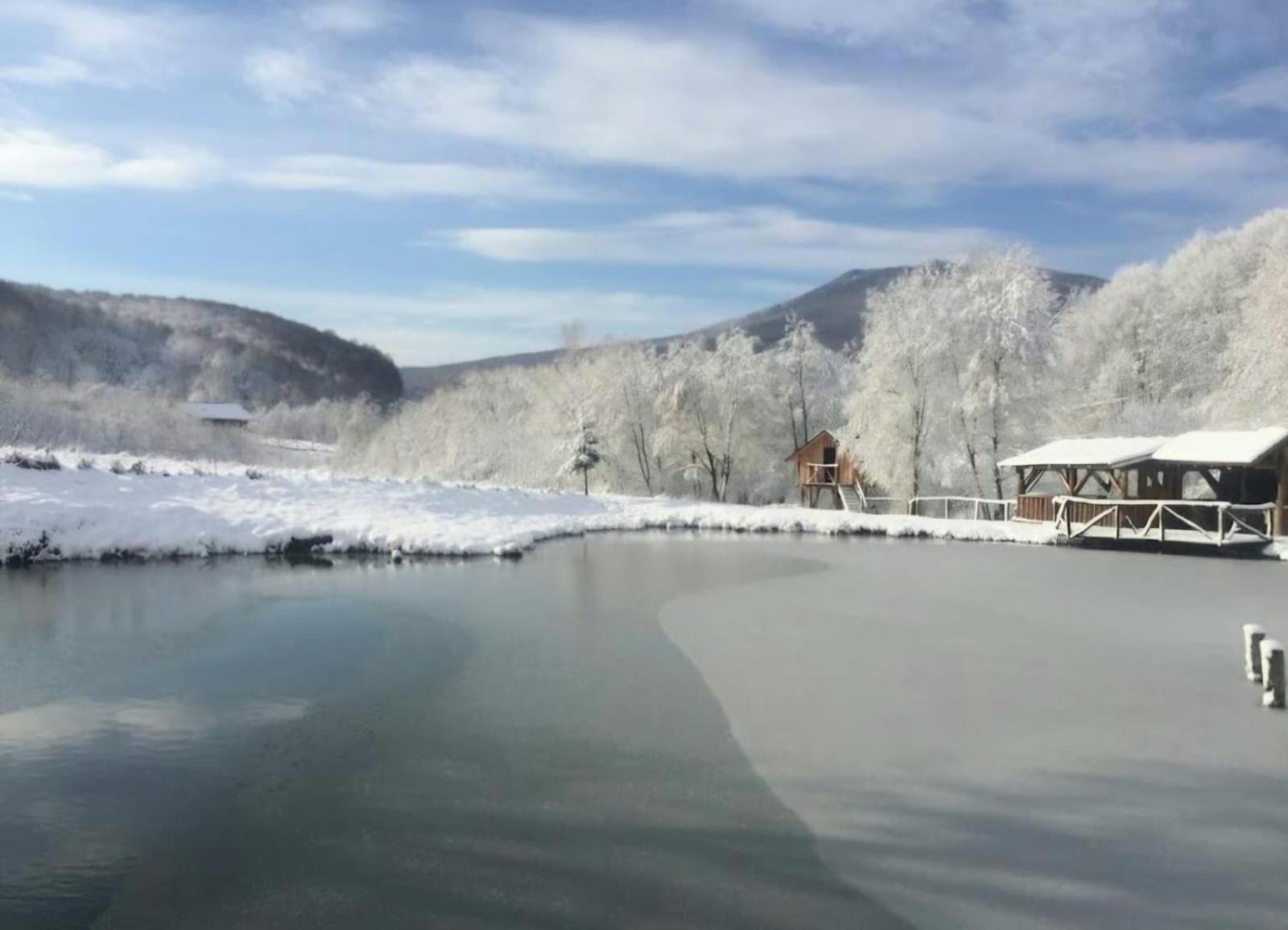 Pensiunea Cerbul - Valea Dobarlaului Buitenkant foto