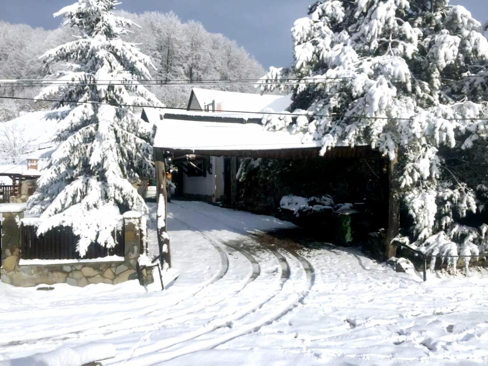 Pensiunea Cerbul - Valea Dobarlaului Buitenkant foto